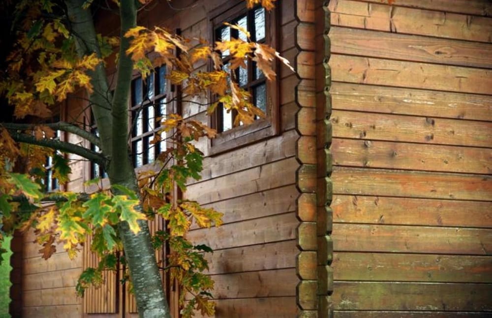 Фото Hotel Ibaigune