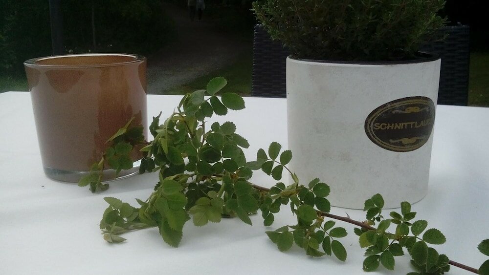 Фото Hotel am Untreusee