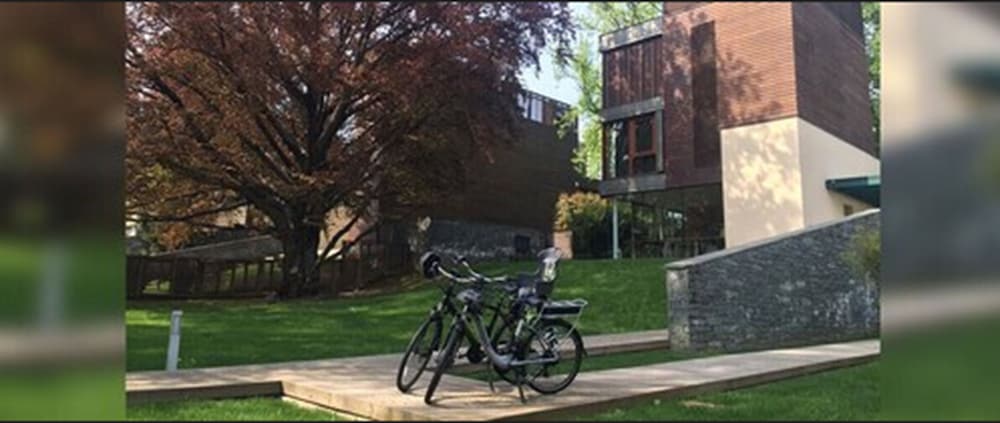 Фото Casa sull'Albero