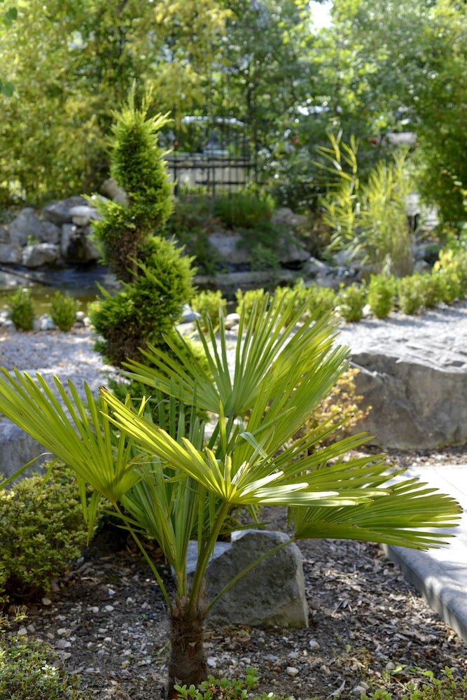 Фото Logis Hôtel Victor Hugo & SPA