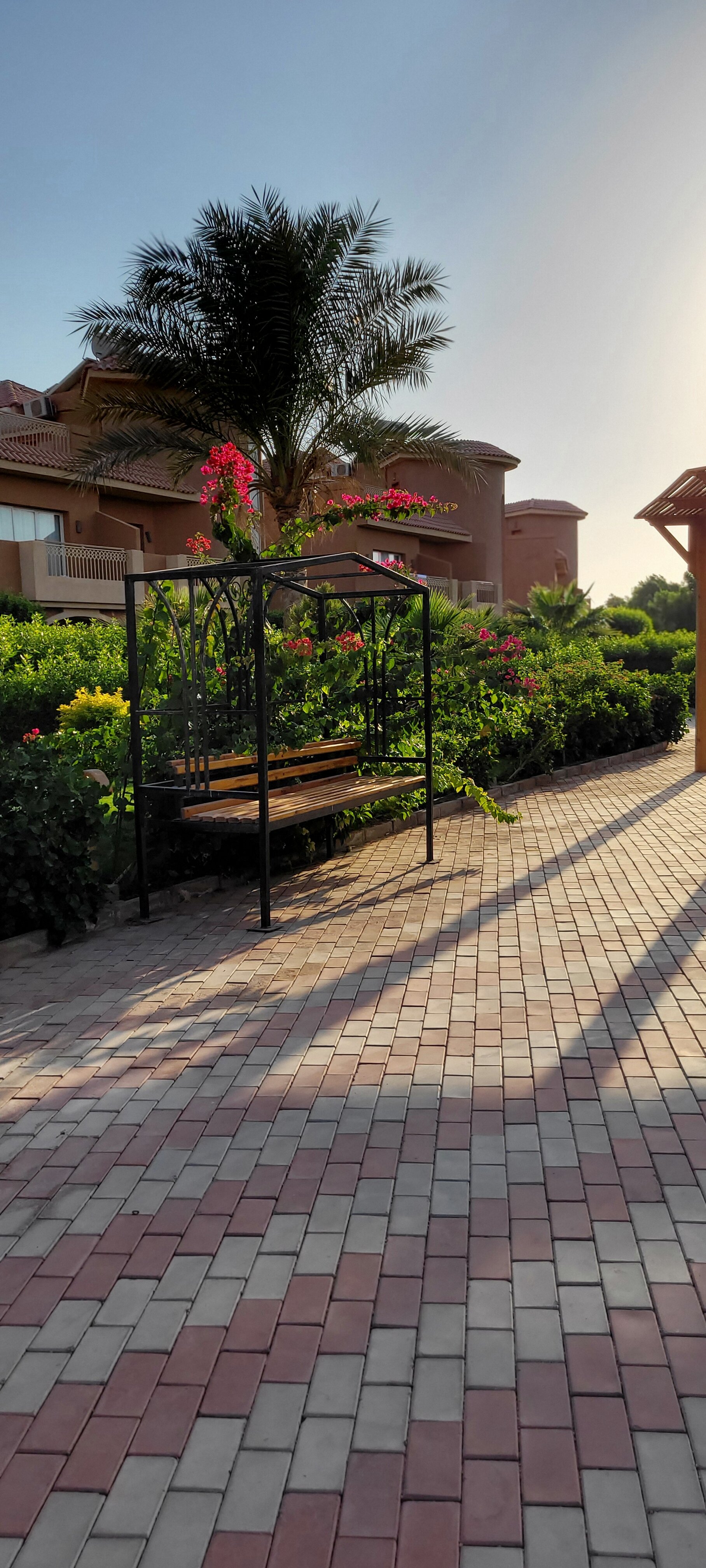 Фото Parrotel Lagoon Waterpark Resort