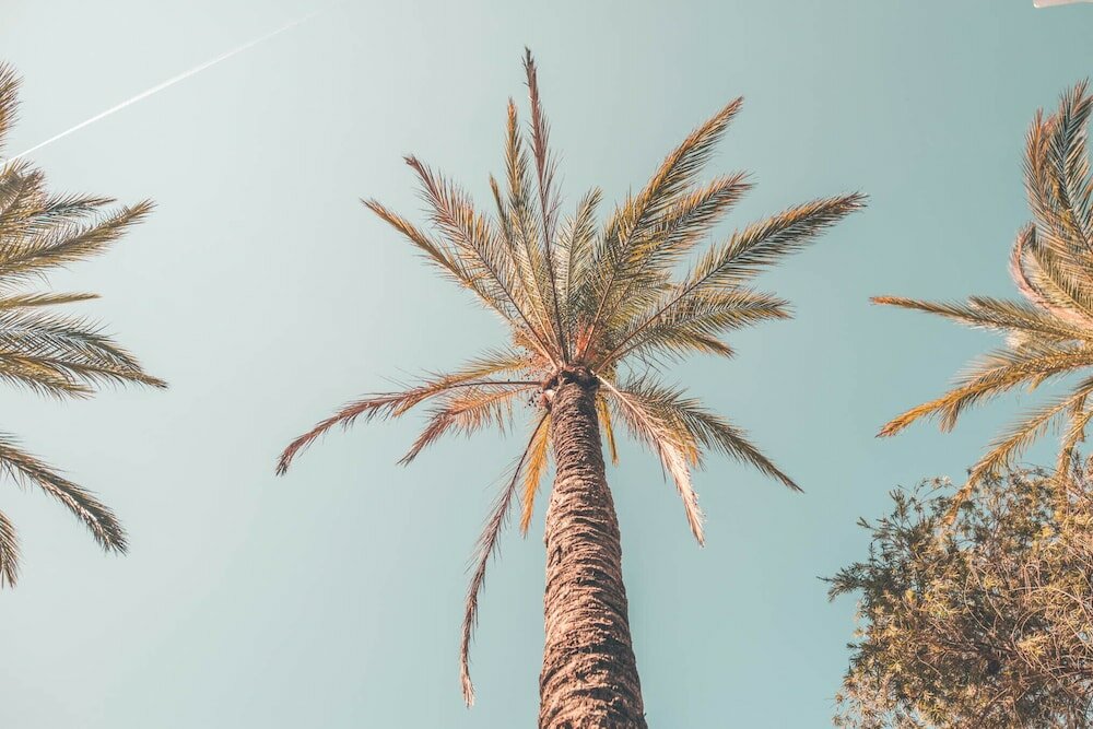 Фото Ibiza Rocks Hotel