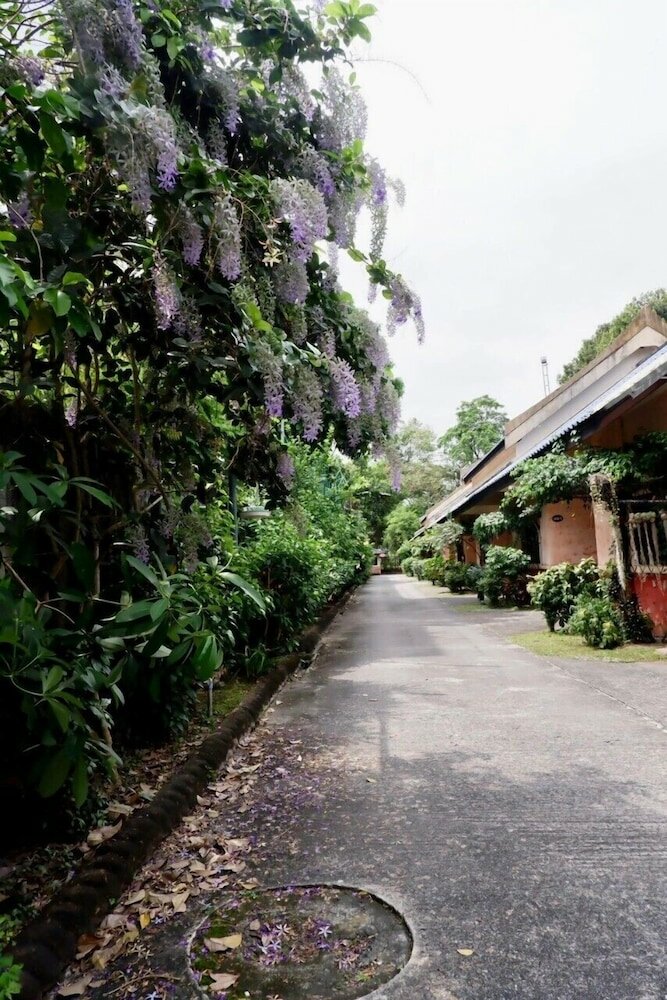 Фото Palm Chalet Resort