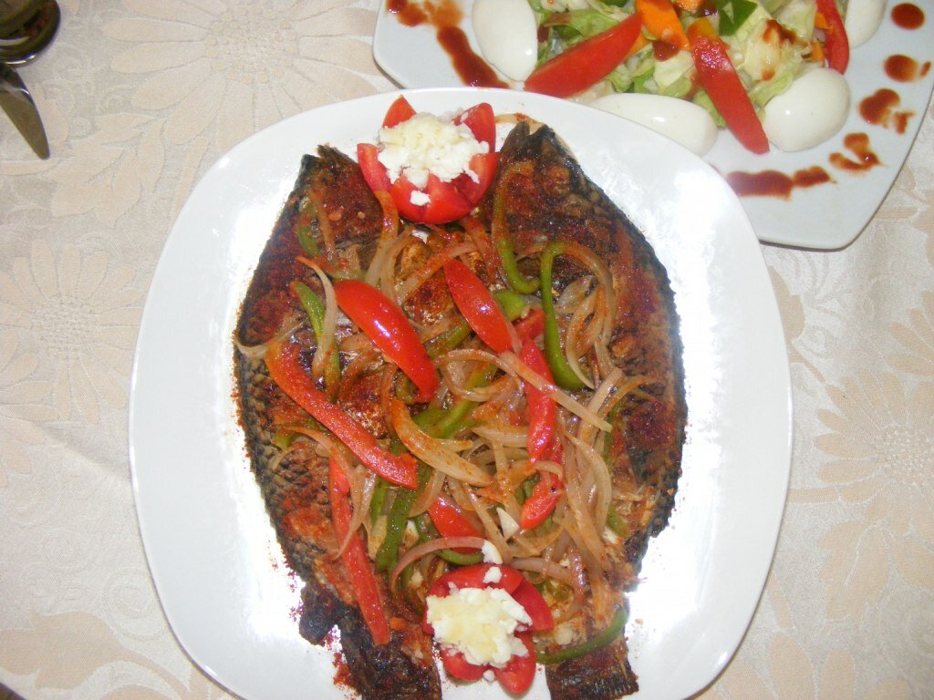 Фото Asa Royal hotel