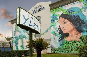 Гостиница Hotel Ylem