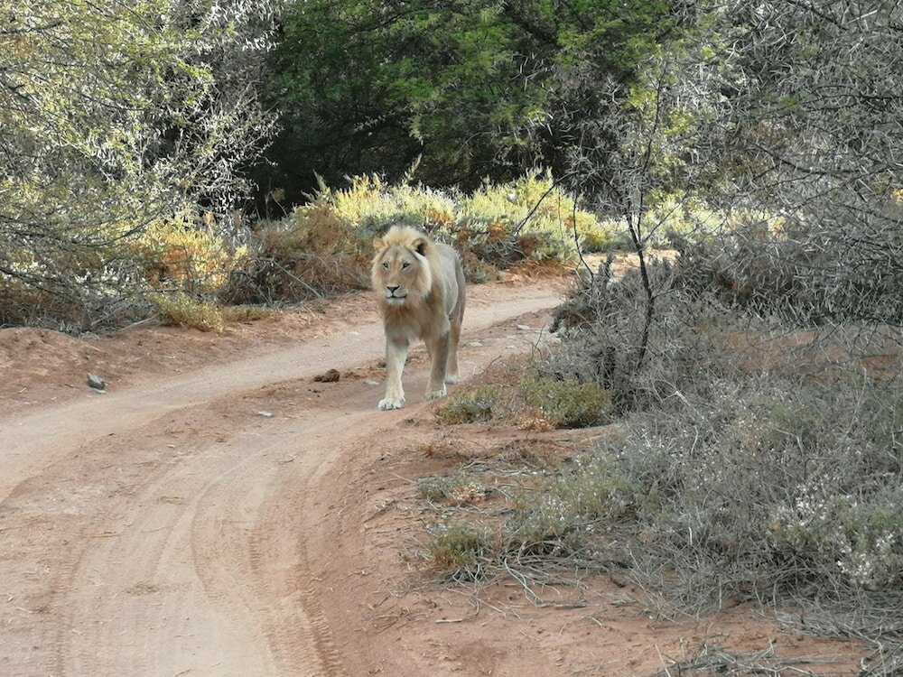 Фото Sanbona Wildlife Reserve