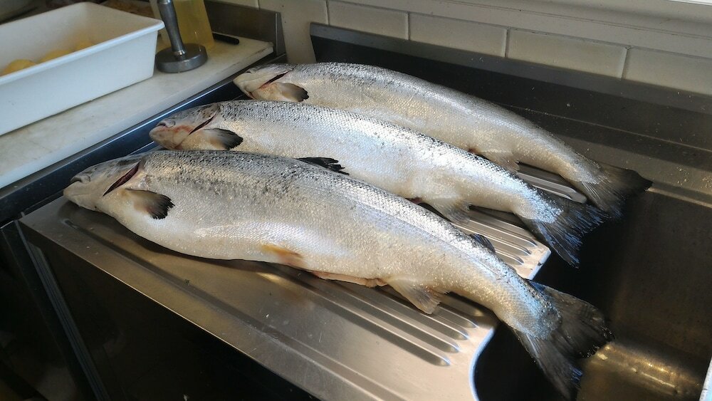 Фото San Francisco Spiaggia