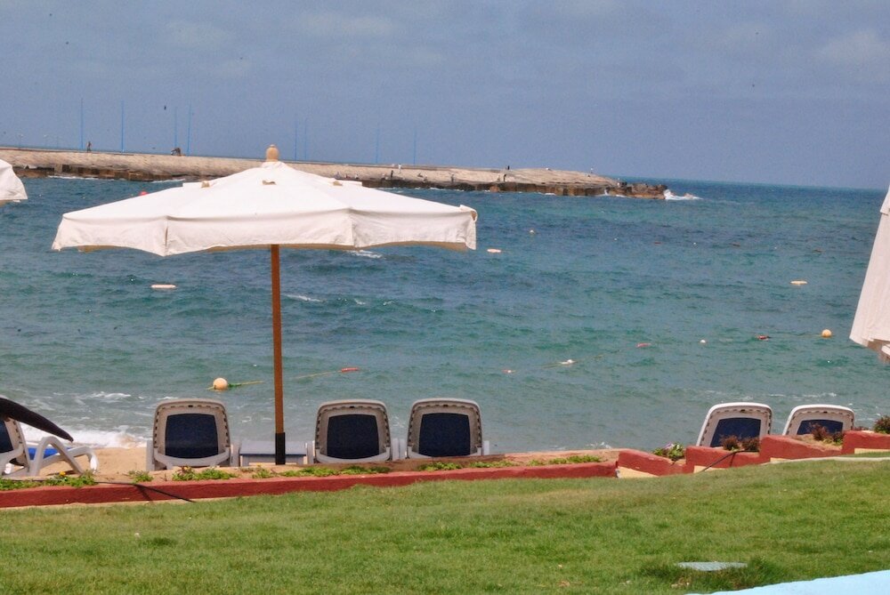 Фото Tolip Alexandria