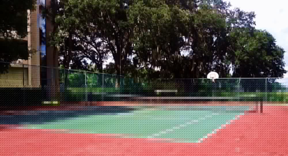 Фото Sheraton Tampa Brandon Hotel