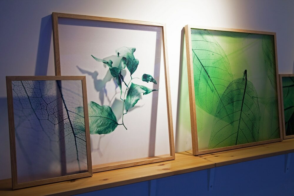 Фото Green Hotel - West District