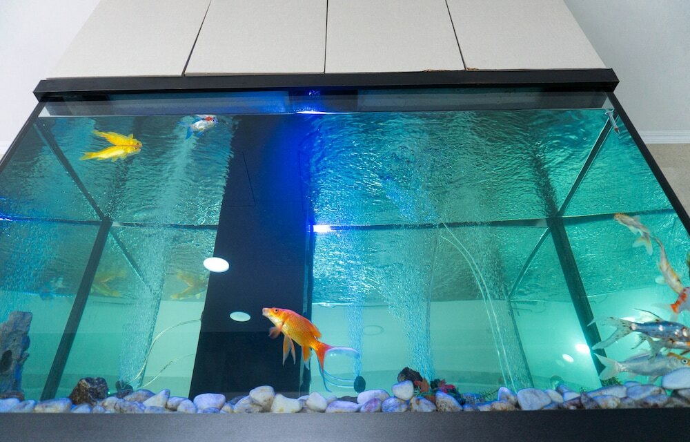 Фото Residencial Lar do Areeiro