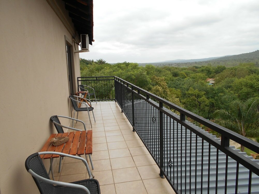 Фото Meerkat Manor