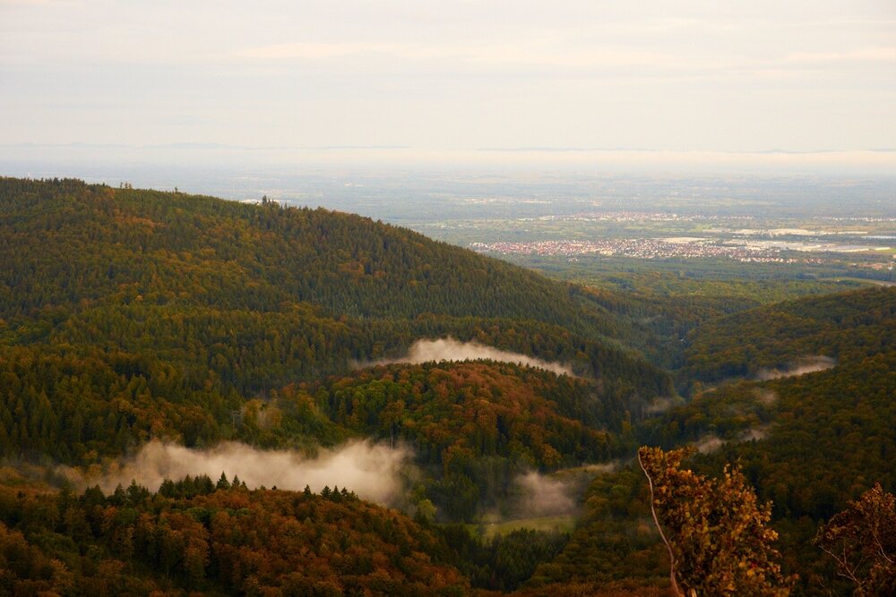 Фото Hotel Watthalden