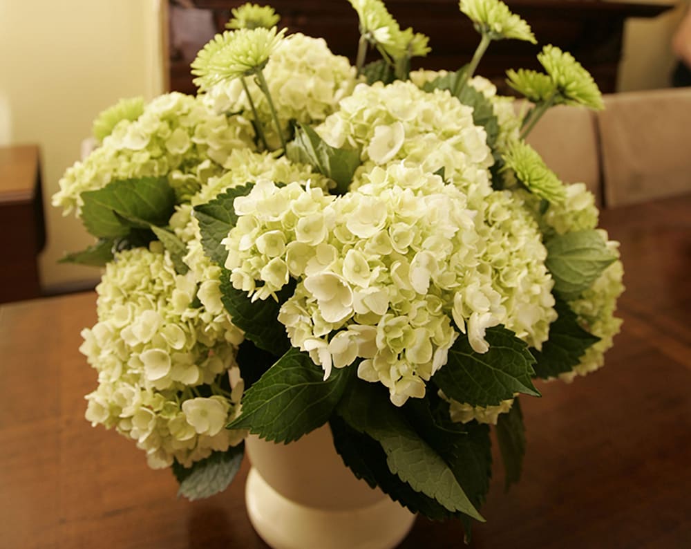 Фото The Morgan State House