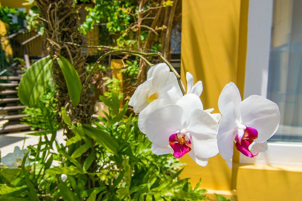 Фото La Chimere Buzios Essence