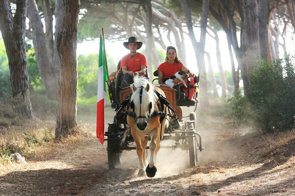 Фото Horse Country Resort Congress & SPA