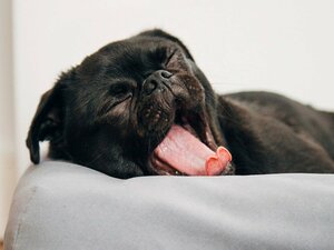 Гостиница Abode Kingston