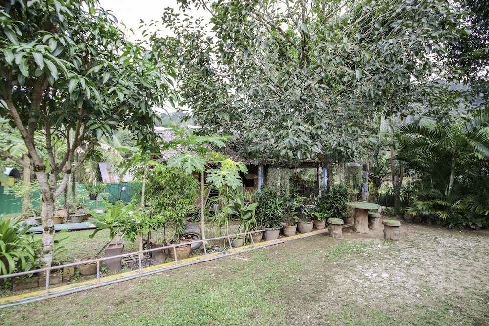 Фото Banana Lodge