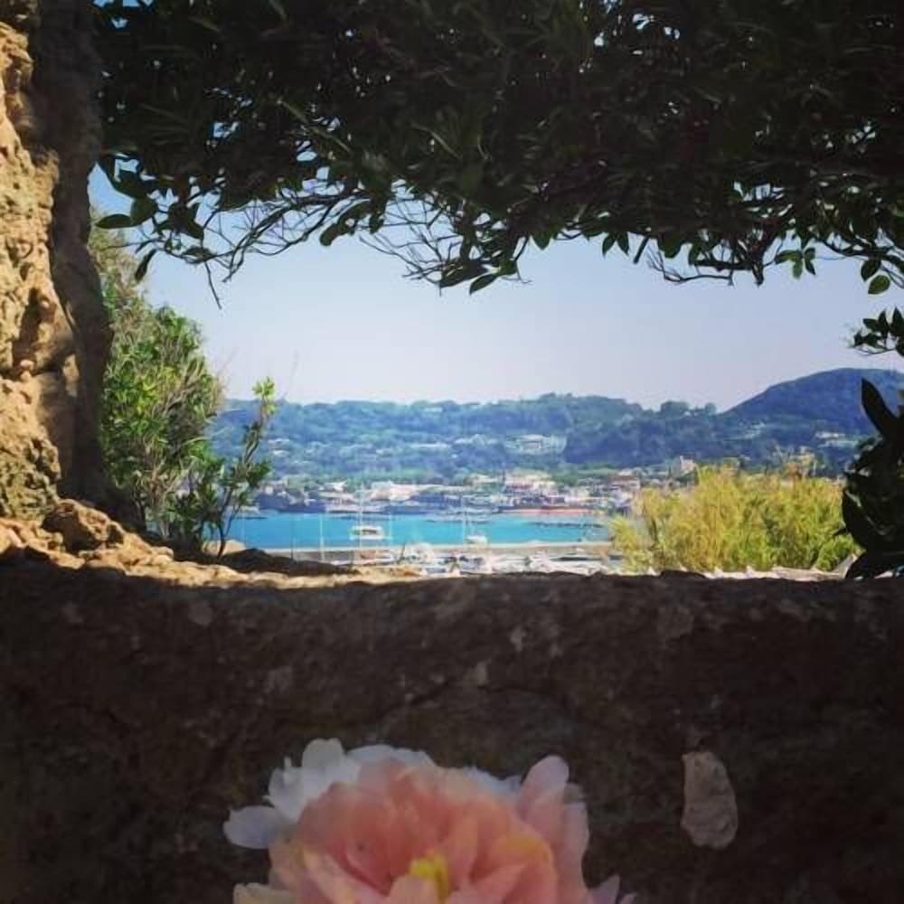 Фото Harbour View