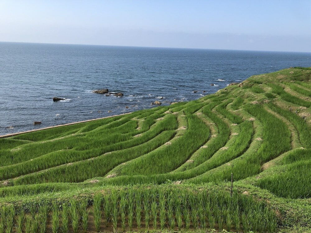 Фото Kanazawa Guesthouse Stella