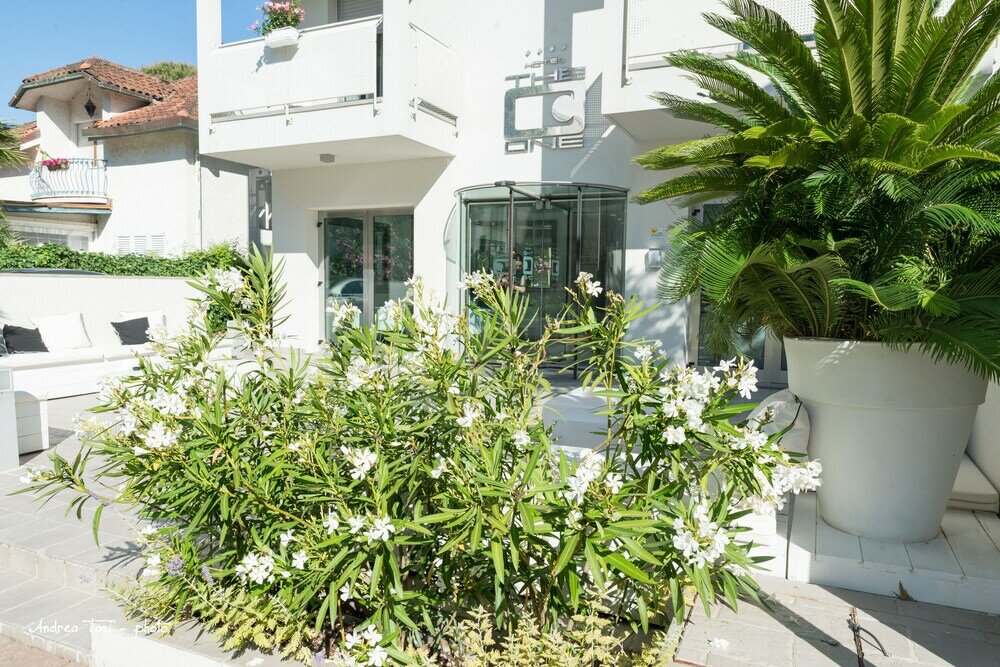 Фото Hotel The One