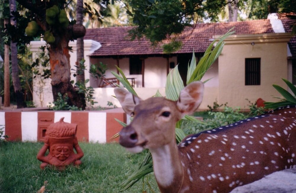 Фото 29772192858