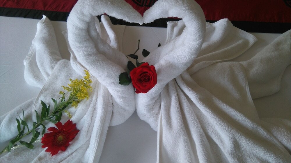 Фото Green Coco Homestay Hoi An