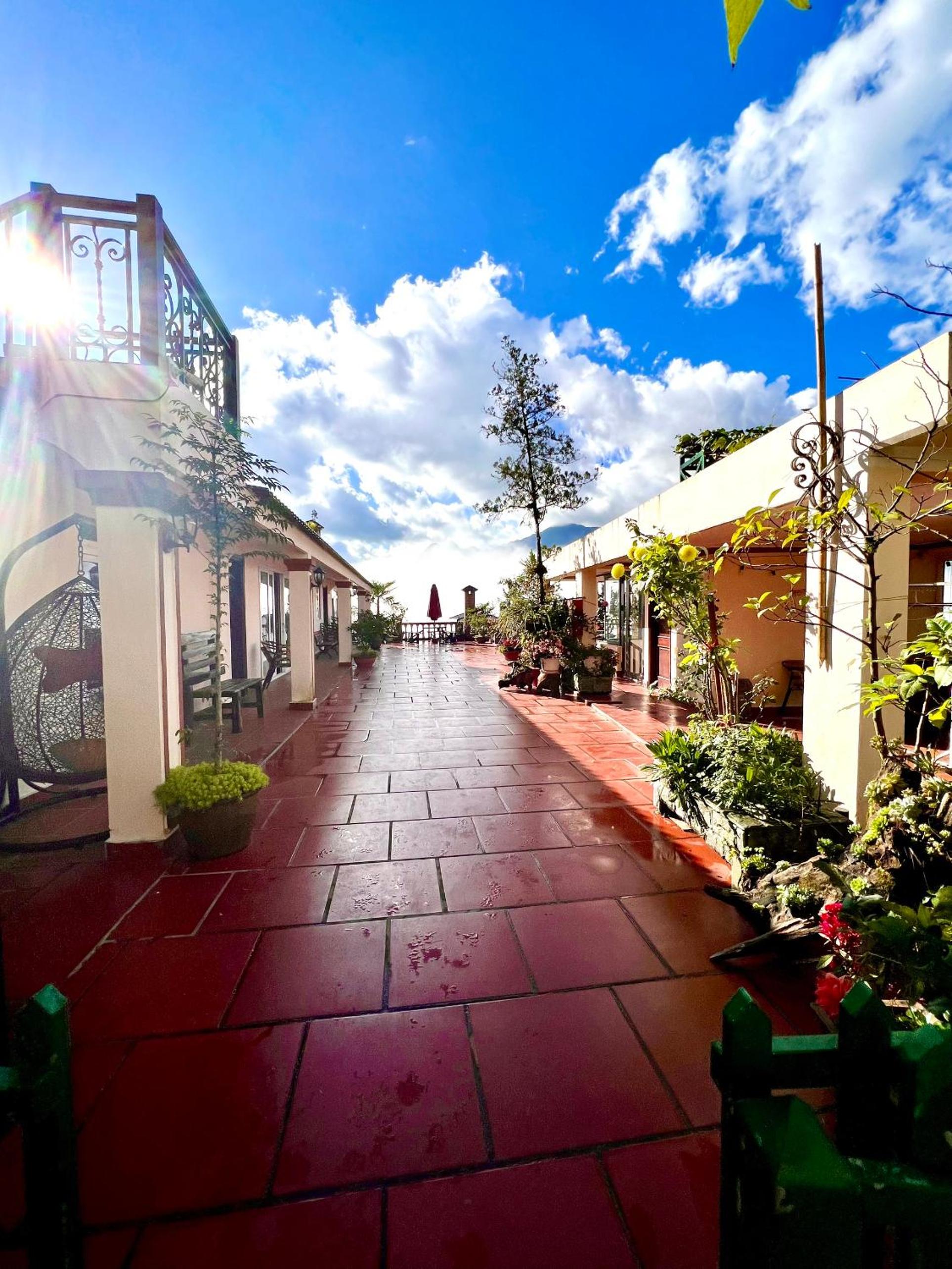 Фото Cat Cat View