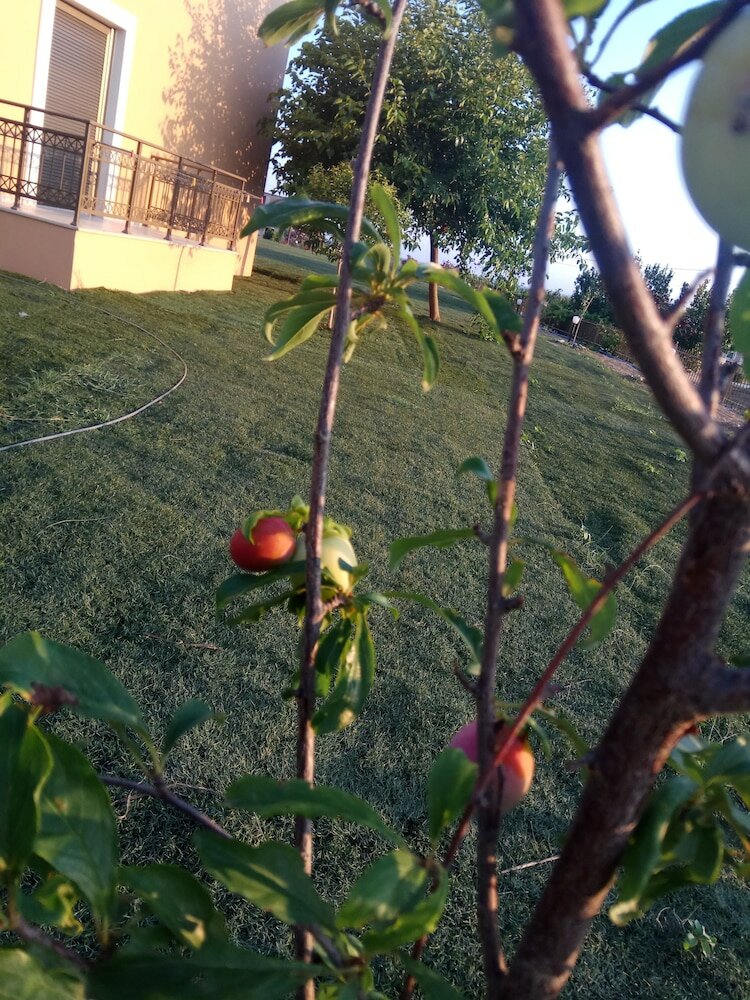 Фото Finiki Plaza