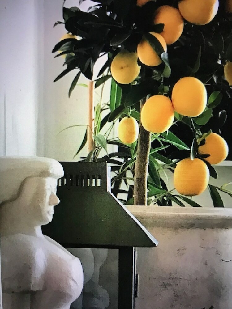 Фото Hotell Bäckagården