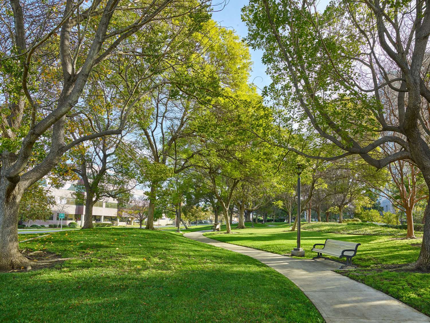 Фото Hilton Los Angeles North/Glendale & Executive Meeting Ctr