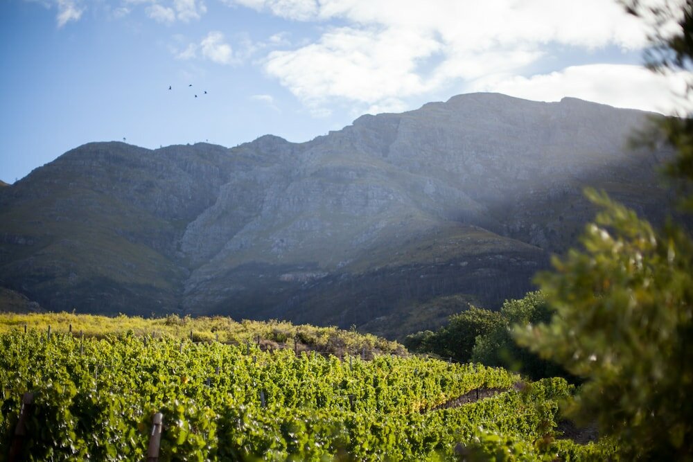 Фото Maison Montagne