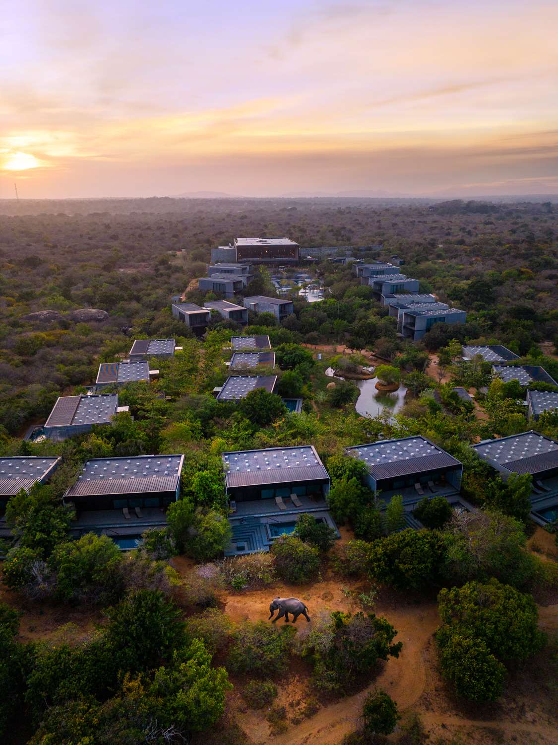 Фото Hilton Yala Resort