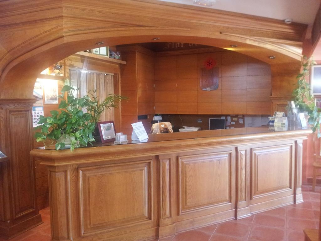 Фото Flor De La Mancha