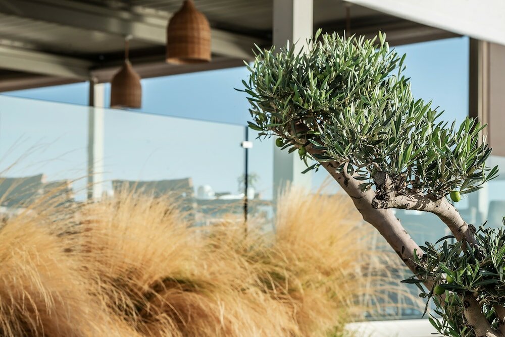 Фото Aliv Stone Suites & SPA