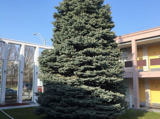 Фото Ramada by Wyndham Rockville Centre