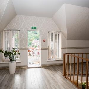 Фото Магнолия