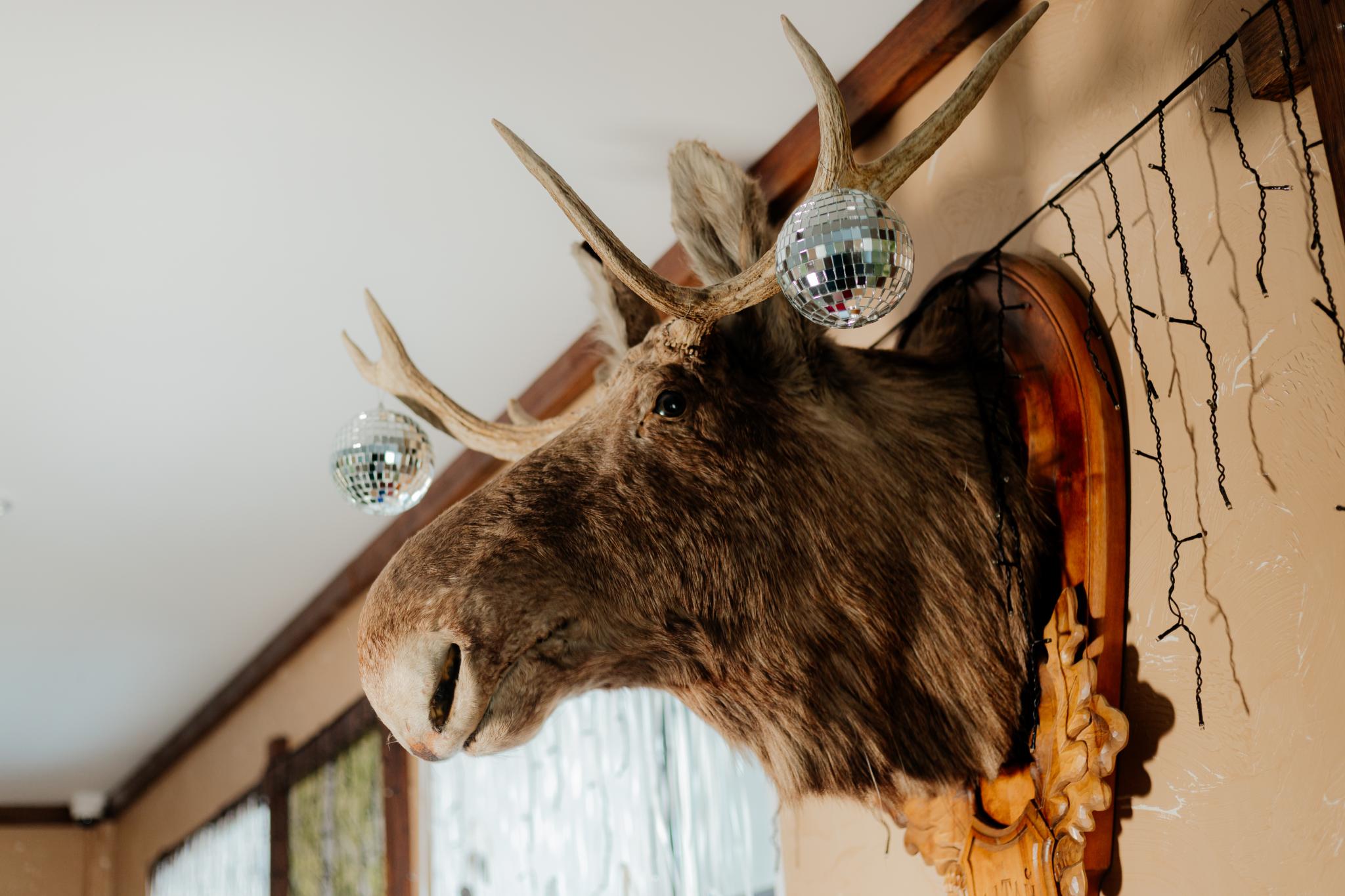 Фото УткульРФ