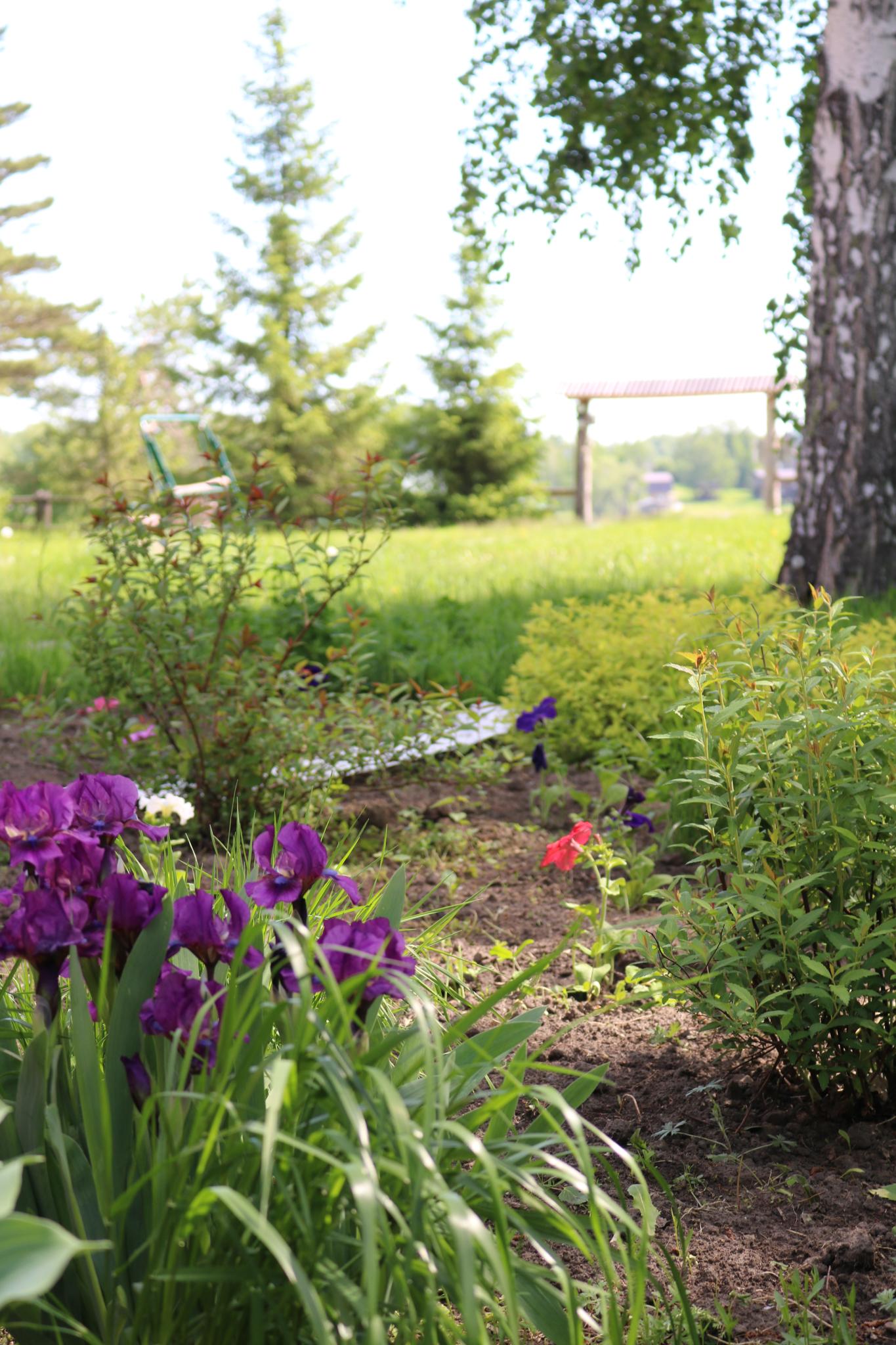 Фото УткульРФ