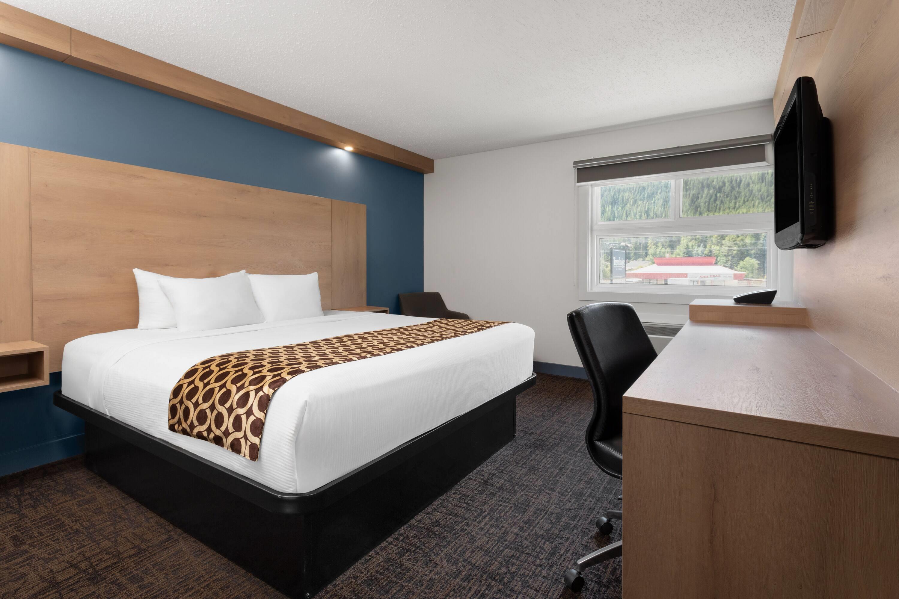 Фото 241553819836