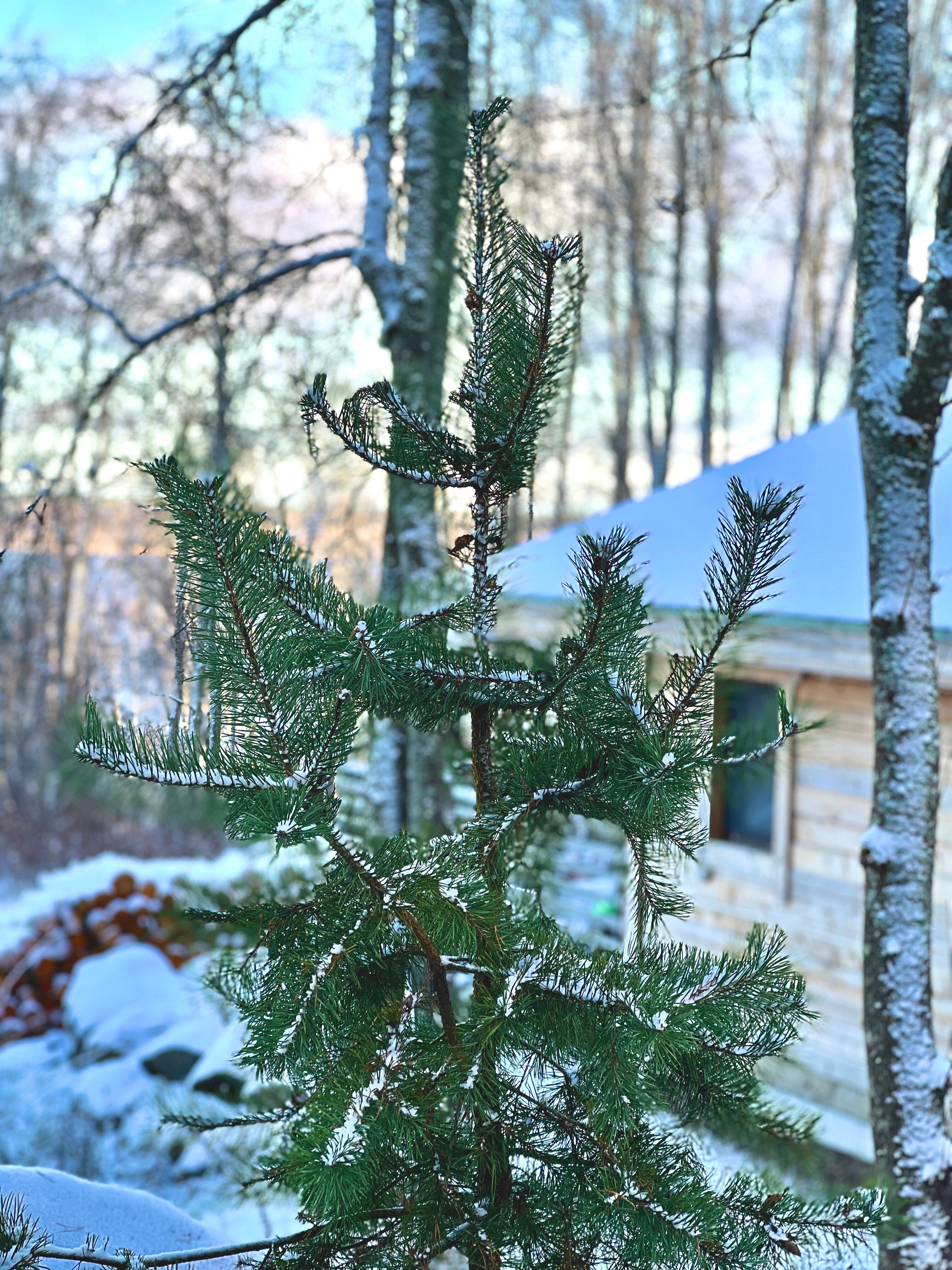 Фото Belka Village