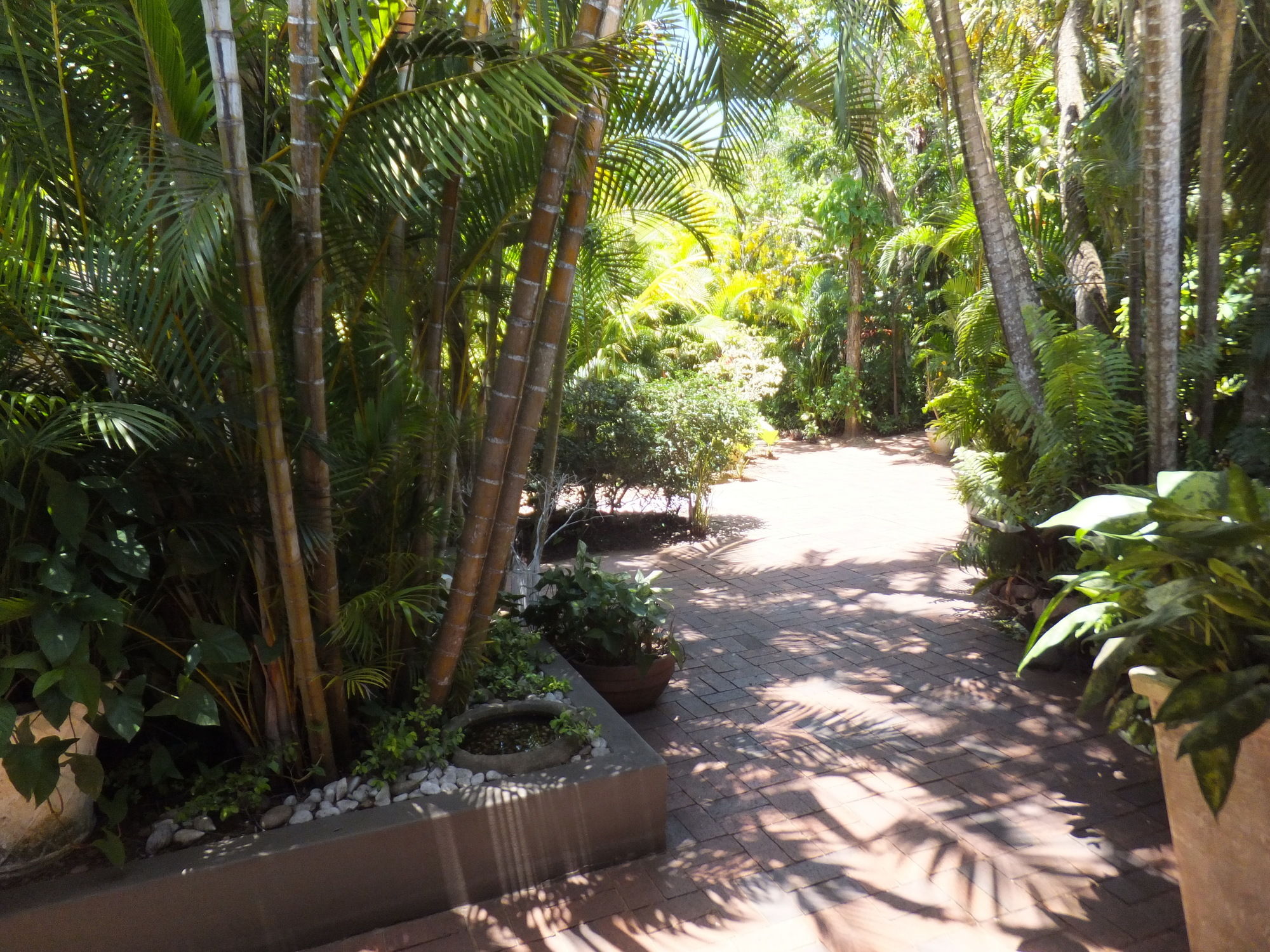 Фото St. Lucia Kingfisher Lodge