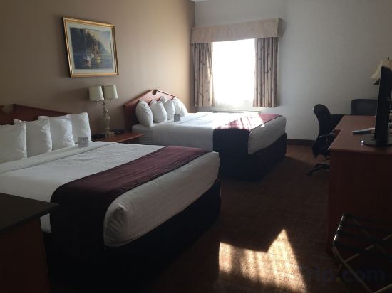 Фото Best Western Thunder Bay Crossroads