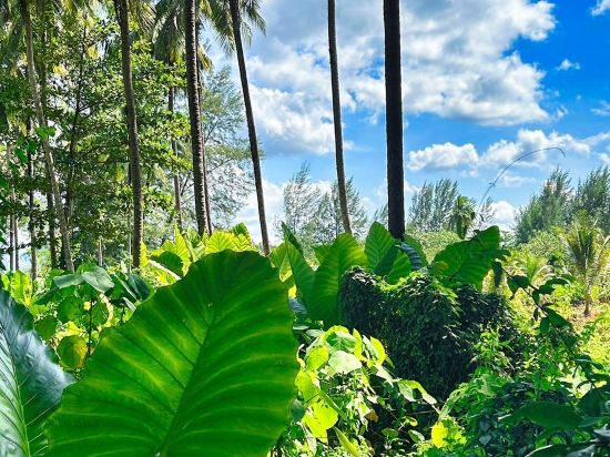 Фото Cape Pakarang Wow Wild Wellness Escapes