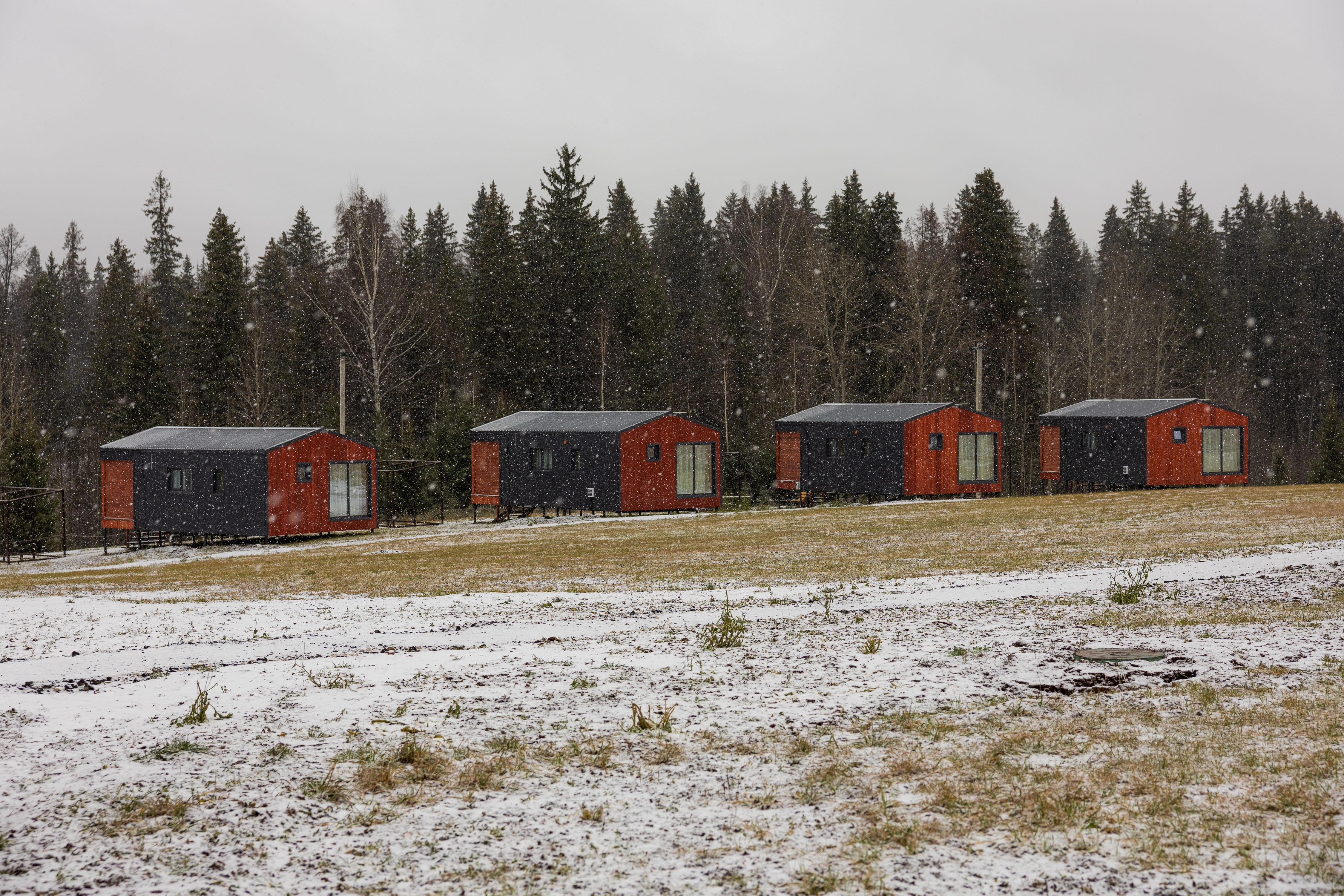 Фото Липовый цвет