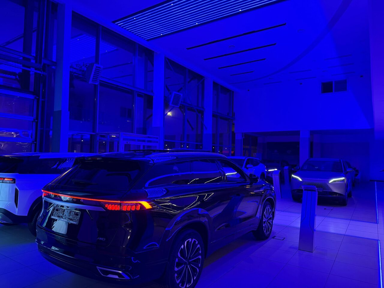 photo Omoda, Автостиль