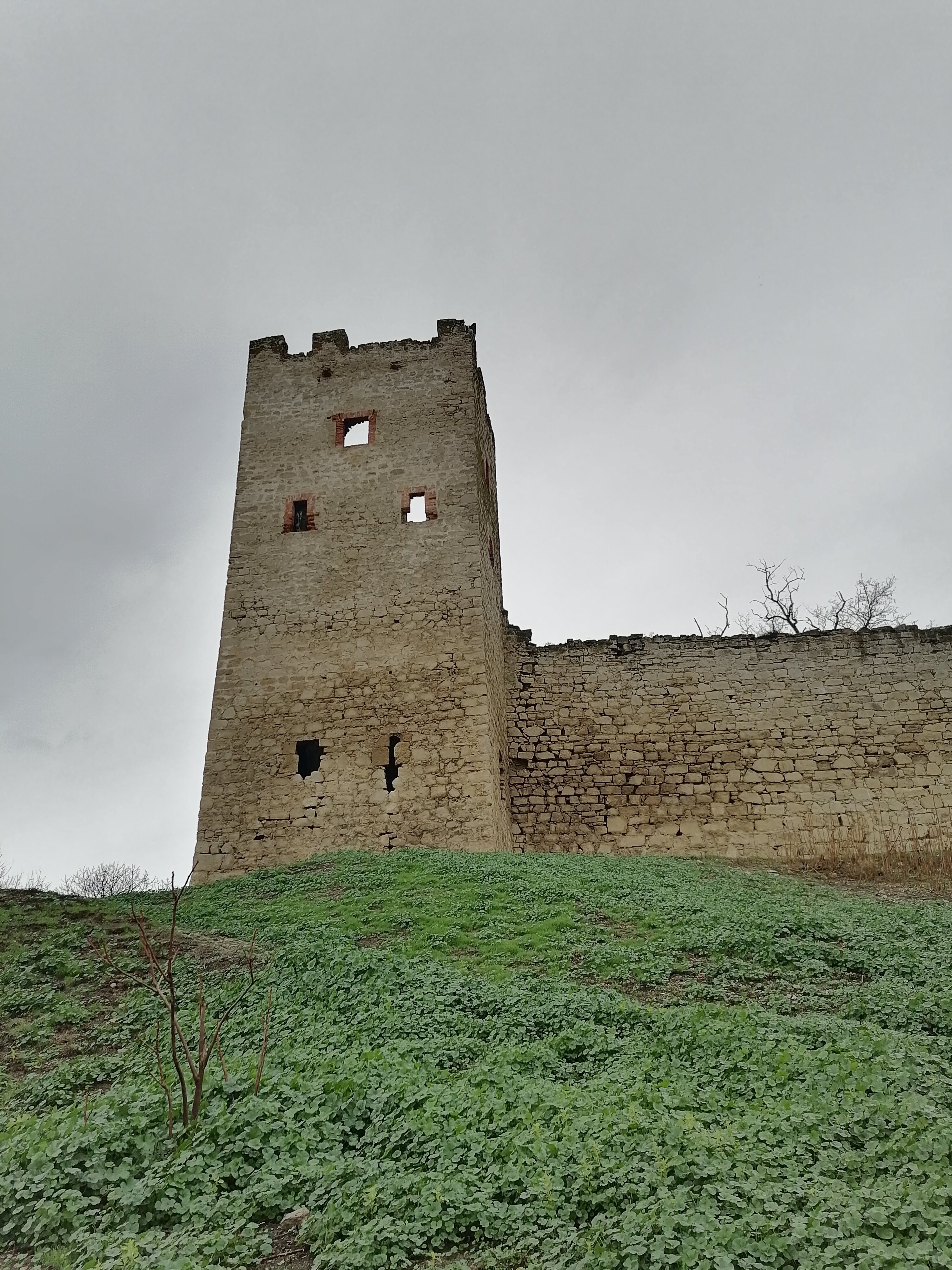 Фото Алетон