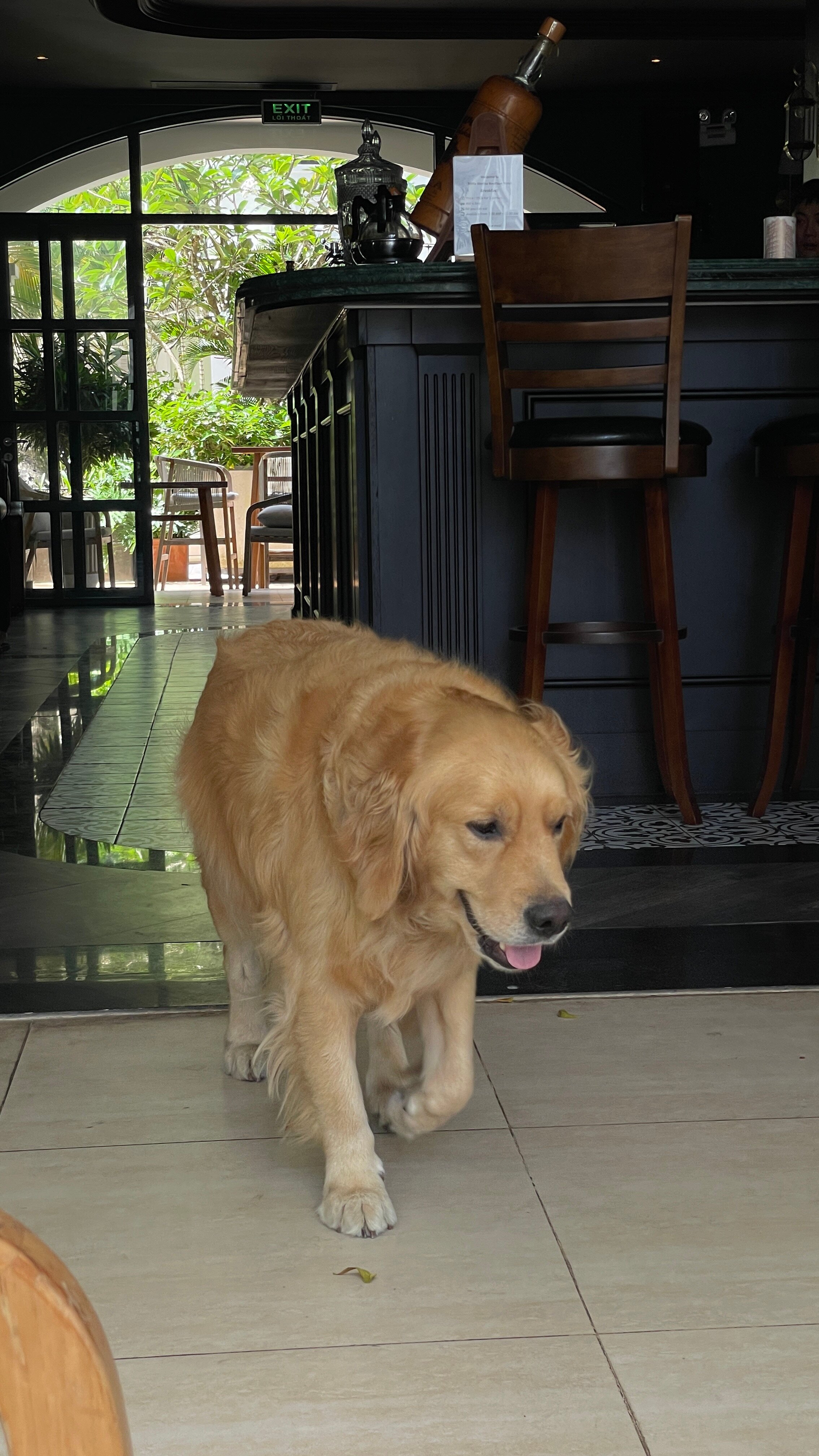 Фото Premier Residences Phu Quoc Emerald Bay Managed by Accor