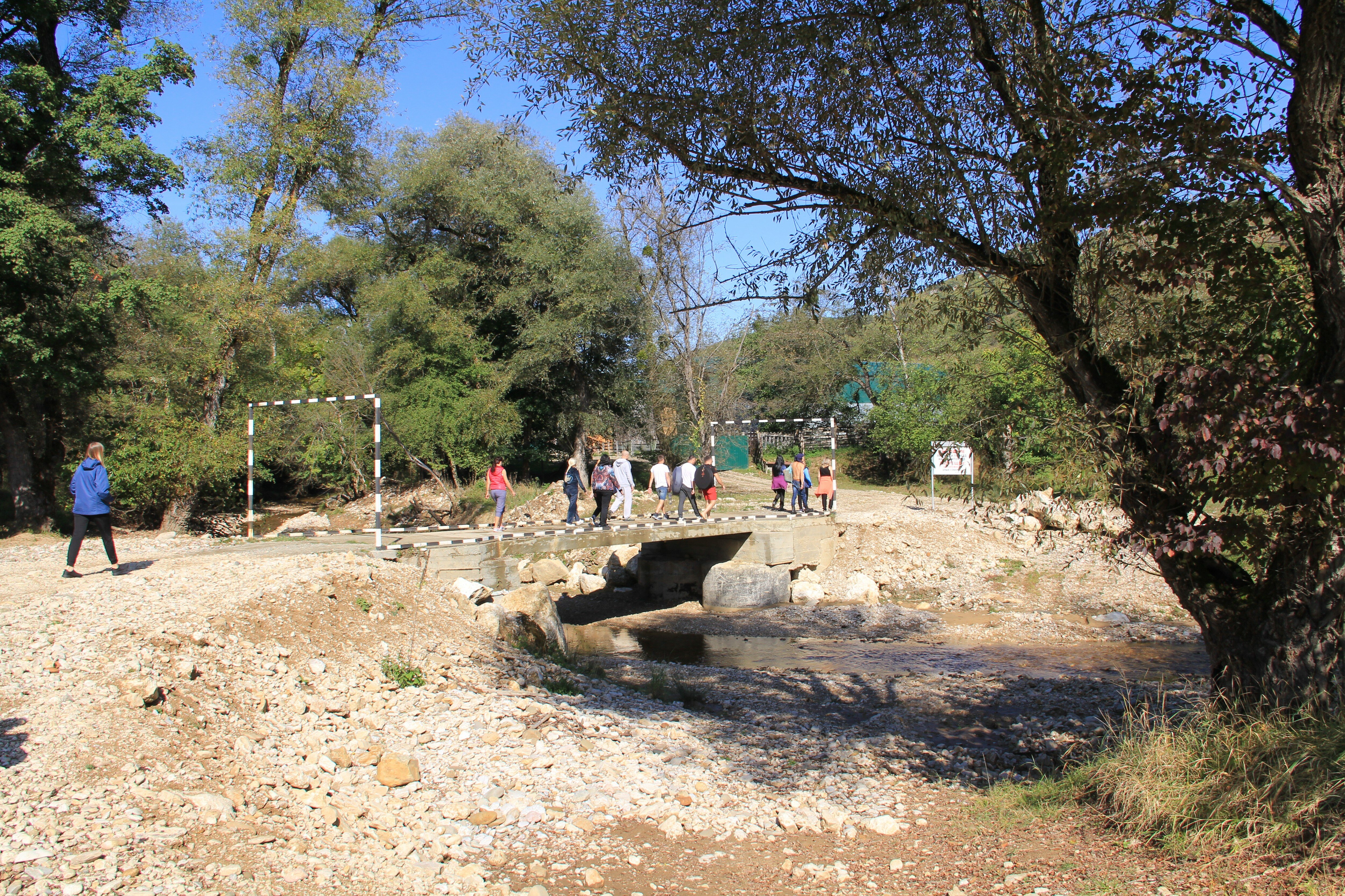 Фото Снежный Барс