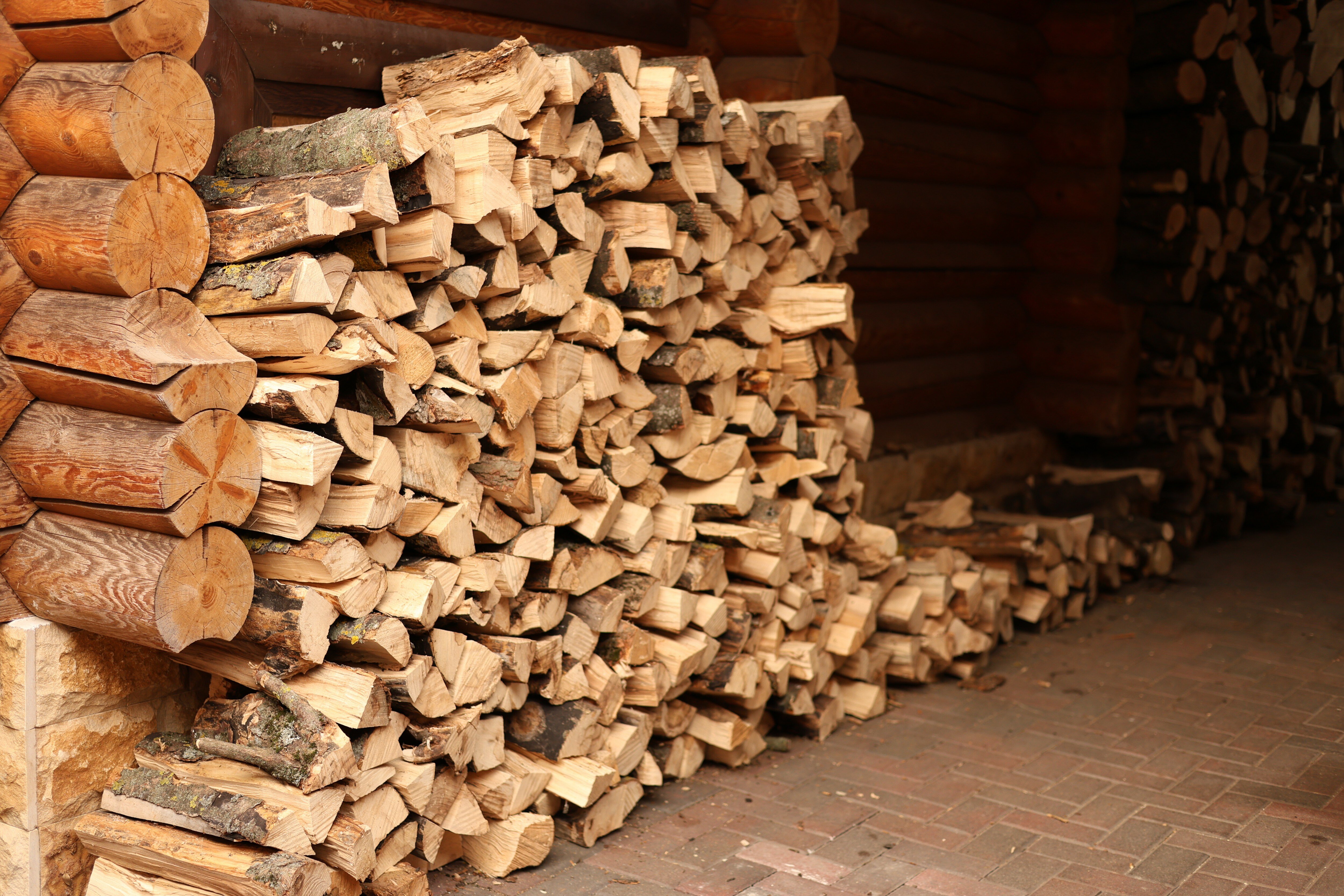 Фото Чистопрудные купели